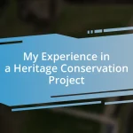 My Experience in a Heritage Conservation Project