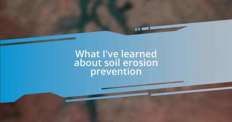 What I’ve learned about soil erosion prevention