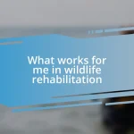 What works for me in wildlife rehabilitation